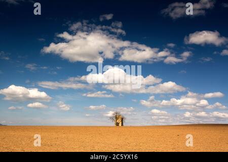 Vecchia colombaia in un campo, Puy de Dome, Auvergne-Rodano-Alpi, Francia Foto Stock