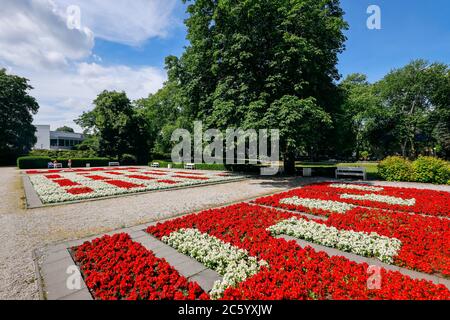 Oberhausen, zona Ruhr, Nord Reno-Westfalia, Germania - aiuole nel Grillopark presso il municipio. Oberhausen, Ruhrgebiet, Nordrhein-Westfalen, Foto Stock