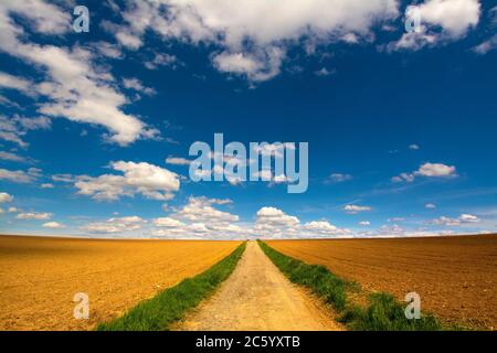 Percorso in un paesaggio agricolo. Pianura Limagne. Puy de Dome. Auvergne-Rodano-Alpi. . Francia Foto Stock