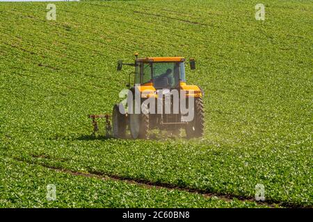 Campo di aratura trattore , Puy de Dome, Auvergne-Rhone-Alpes, Francia Foto Stock