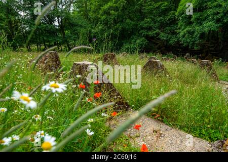 Resti del Westwall sopra la Grölisbach, vicino a Roetgen, 100 metri di lunghezza barriera anticarro attraverso una piccola valle, costruito 1939, Eifel, NRW, Germania Foto Stock