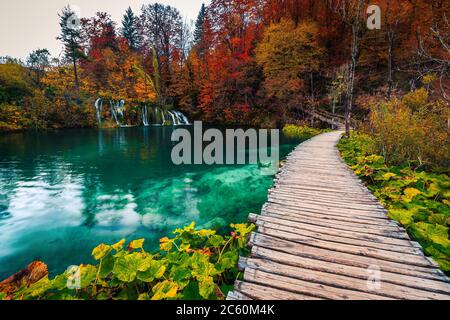 Splendido scenario autunnale con spettacolari cascate nella colorata foresta decidua. Passerella in legno sul lago turchese nella Plitvice Natio Foto Stock