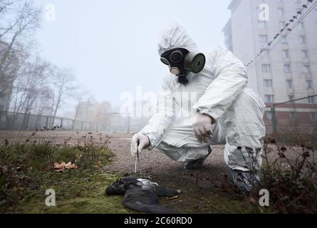 Ricercatore in uniforme protettiva tennista pinzette e l'esame di piccione morto. Ambientalista maschile indossando tuta protettiva e maschera a gas. Concetto di ecologia, ricerca, inquinamento ambientale. Foto Stock