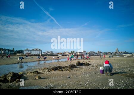 Persone che pescano vongole e conchiglie marine a bassa marea vicino al villaggio del Croisic sulla penisola di Guerande, Francia Foto Stock