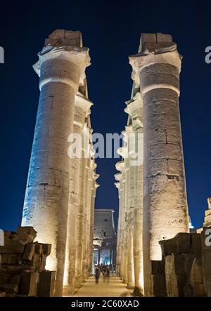 Grandi colonne in sala ipostile presso l'antico tempio egiziano Luxor illuminato durante la notte Foto Stock