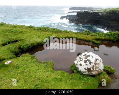 Piscine d'acqua dolce sulla cima dell'isola di Enderby, parte delle isole di Auckland, Nuova Zelanda. Incluso un grande masso rotondo coperto di muschio. Foto Stock