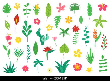 Fiori tropicali e foglie raccolta. Elementi esotici per la festa estiva sulla spiaggia. Design floreale isolato su sfondo bianco. Bouquet hawaiano. Vettore Illustrazione Vettoriale