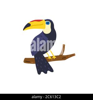 Toucan uccello mano illustrazione disegnata. Cute toucan isolato su sfondo bianco. Uccello tropicale luminoso. Elemento di design estivo per stampa, t-shirt. Vettore Illustrazione Vettoriale