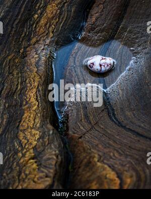 Geologia a Spittal Beach Foto Stock