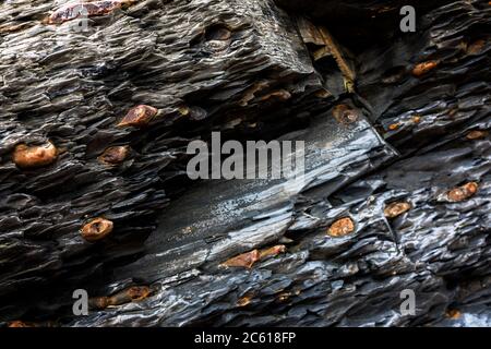 Geologia a Spittal Beach Foto Stock