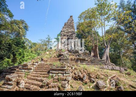 Antico tempio di Preah Palilay in Angkor Thom e enormi alberi di Banyan, Angkor, Cambogia. Foto Stock
