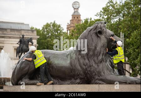 I lavoratori puliscono e lucidano una delle quattro statue di leoni alla base della colonna di Nelson, in Trafalgar Square, Londra. Foto Stock