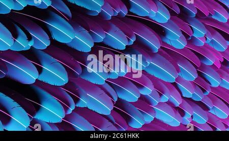 Bellissimo sfondo di Blue iridescenti Feathers Foto Stock
