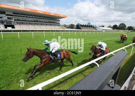 Perfect City e Jonjo o'Neill jnr batte Emma Lamb nella promessa dei prezzi al Bet365 handicap hurdle all'Ippodromo Uttoxeter. Foto Stock
