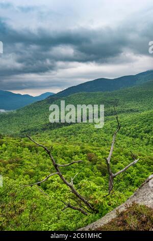 Vette di montagna e valle dalla cima di Owls Head, Adirondack Park, High Peaks Region, Essex County, NY Foto Stock