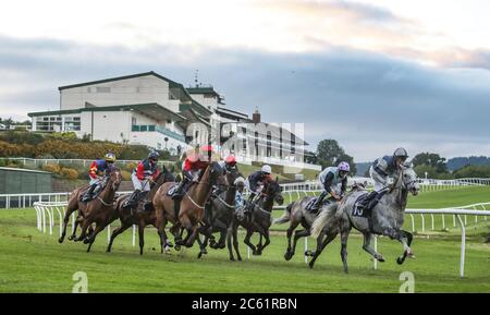 Corridori e piloti girano la curva inferiore nel B J Llewellyn Racing handicap al Chepstow Racecourse. Foto Stock