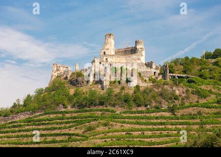 Castello Senftenberg vicino a Krems, regione Wachau, Austria Foto Stock