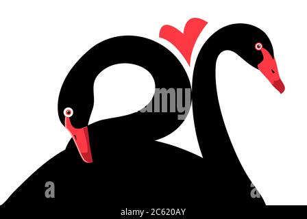 Ritratti vettoriali di cigni neri innamorati su sfondo bianco Illustrazione Vettoriale