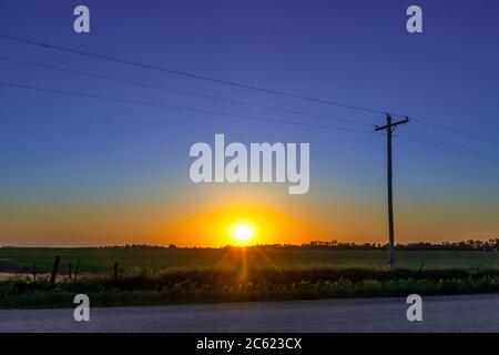 Tramonto e palo del telefono con cornfield al tramonto, Doniphan, Nebraska USA Foto Stock