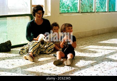 Famiglia di espatriati con gatti vivere in Arabia Saudita Foto Stock