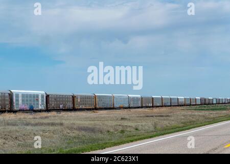 Linea di vagoni ferroviari, Wetmore, Colorado, USA Foto Stock