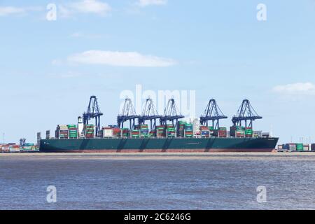 Nave portacontainer sempre Golden attraccata al porto di Felixstowe, Suffolk, Regno Unito. Foto Stock