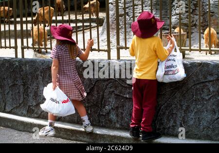 Sydney NSW Australia Taronga Zoo Bambini a scuola escursione guardando gli animali Foto Stock