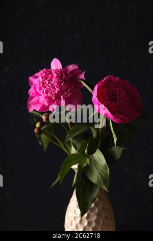 Tonalità rosa brillante in uno stile minimalista scuro. Foto Stock