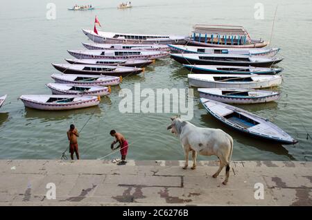 varanasi uttar pradesh india il 12 novembre 2016: Modello di toro e barche, a munghi ghat, fiume Gange, Varanasi, Uttar Pradesh, India. Foto Stock