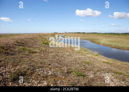 Laguna in un'area slack di ecosistema di spiaggia di ghiaia vegetata, Shingle Street, Suffolk, Inghilterra, Regno Unito Foto Stock