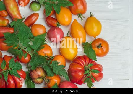 Primo piano di pomodori freschi maturi su tavola di legno. Pomodori su superficie di legno bianco Foto Stock