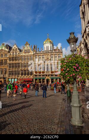 Grand Place Bruxelles Belgio Foto Stock