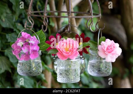 decorazione estiva con rose rosa e fiori di idrangea in vetro vasi su asciugatore di erbe Foto Stock