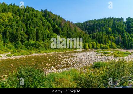 Vista del grande fiume di salmoni, in Fundy Trail Parkway Park, New Brunswick, Canada Foto Stock