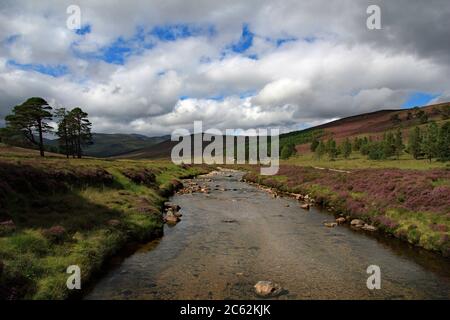 Un torrente di montagna scorre dolcemente lungo il fondo della valle in un Glen nel Cairngorm Park nelle Highlands scozzesi Foto Stock