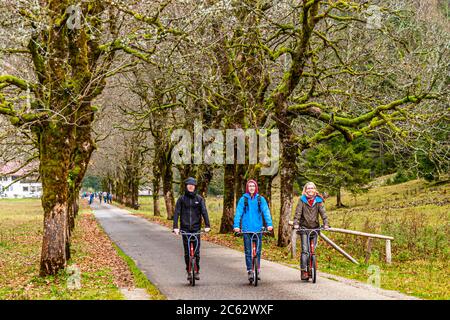 Dopo la facile escursione lungo il fiume Oy da Oberstdorf alla locanda, la strada asfaltata di ritorno è meglio fare con gli scooter a noleggio. Oberstdorf, Germania Foto Stock