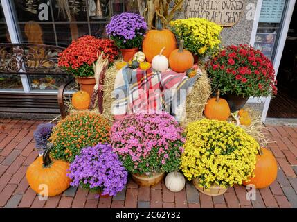 Bella vetrina di fiori che mostra una diffusione di fiori colorati e zucche, dal momento che l'immagine è stata presa all'inizio dell'autunno. Foto Stock