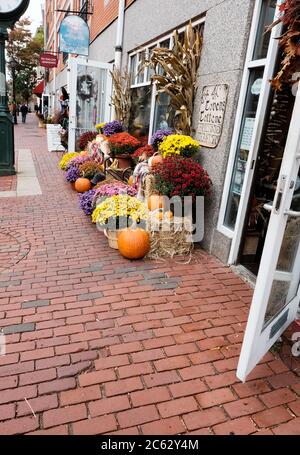 Bella vetrina di fiori che mostra una diffusione di fiori colorati e zucche, dal momento che l'immagine è stata presa all'inizio dell'autunno. Foto Stock
