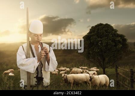 Pastore albanese che gioca flauto di fronte al prato e gregge di pecore al sole della sera Foto Stock