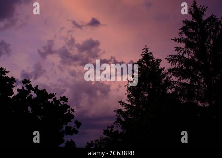 cielo nuvoloso colorato con ombre di alberi al tramonto Foto Stock
