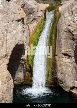 Cascata che cade in piscine naturali a Wadi Bani Khalid, Sultanato di Oman. Foto Stock