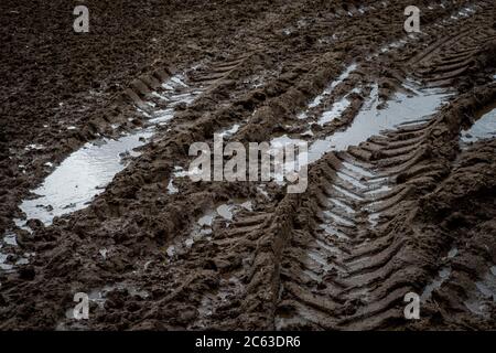 Cingoli del trattore fangosi nel campo Foto Stock