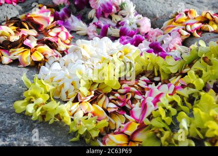 Un lei hawaiano colorato. Un lei è una ghirlanda o una collana di fiori. Foto Stock