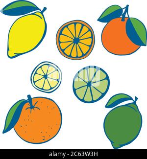 Un set di agrumi dipinti. Limone e lime, arancia e pompelmo. Frutta intera e metà. Illustrazione vettoriale Illustrazione Vettoriale