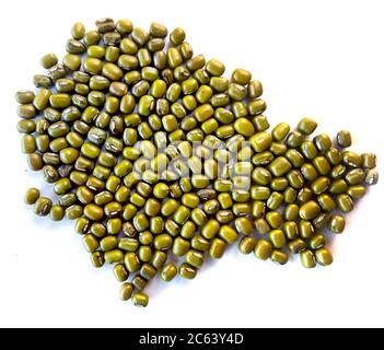 I fagioli verdi di Mung conoscono anche come Mung dal, Vigna Radiata, fagioli verdi o Moong dal isolato su sfondo bianco Foto Stock