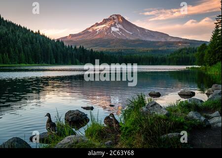 Splendida vista dal lago Trillium al monte Hood in Oregon Foto Stock