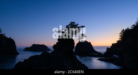 Le sagome delle stalle di mare nel cielo serale della costa dell'Oregon Foto Stock