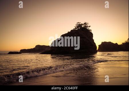 Le sagome delle stalle di mare nel cielo arancione serale della costa dell'Oregon Foto Stock