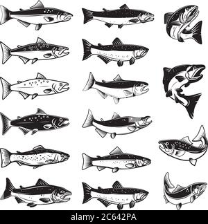 Set di illustrazioni di pesce salmone in stile incisione. Elemento di design per logo, etichetta, segno, emblema, poster. Illustrazione vettoriale Illustrazione Vettoriale