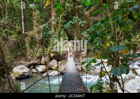 Consegna ponte nella giungla verde, Costa Rica, America Centrale Foto Stock